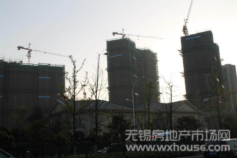 施工进度      