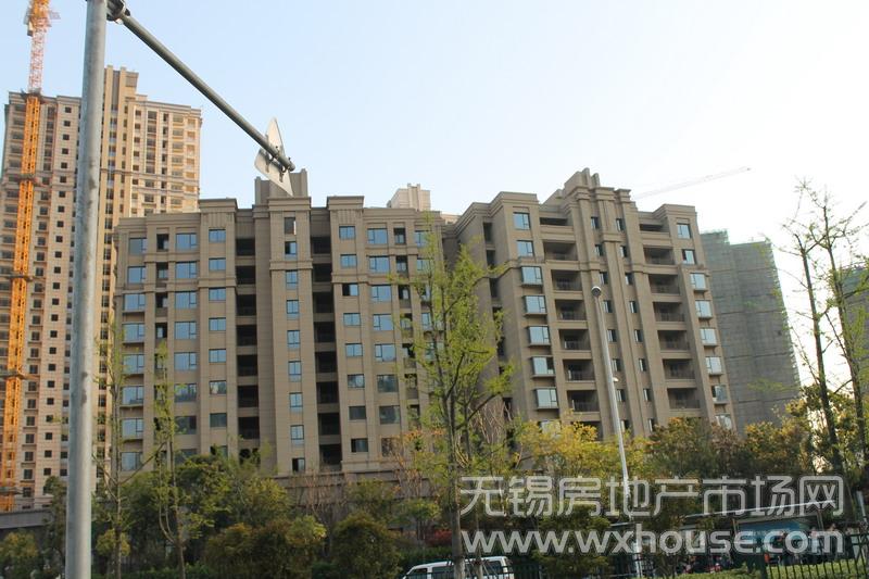 施工进度      
