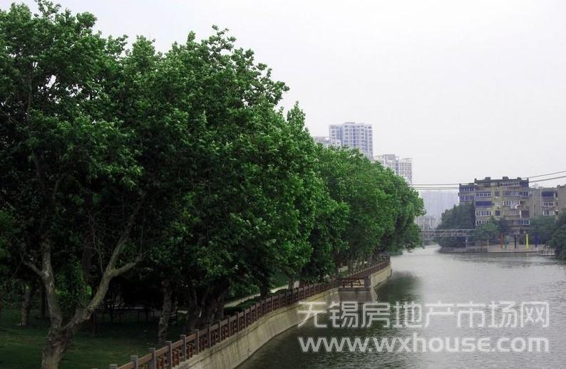 景观      
