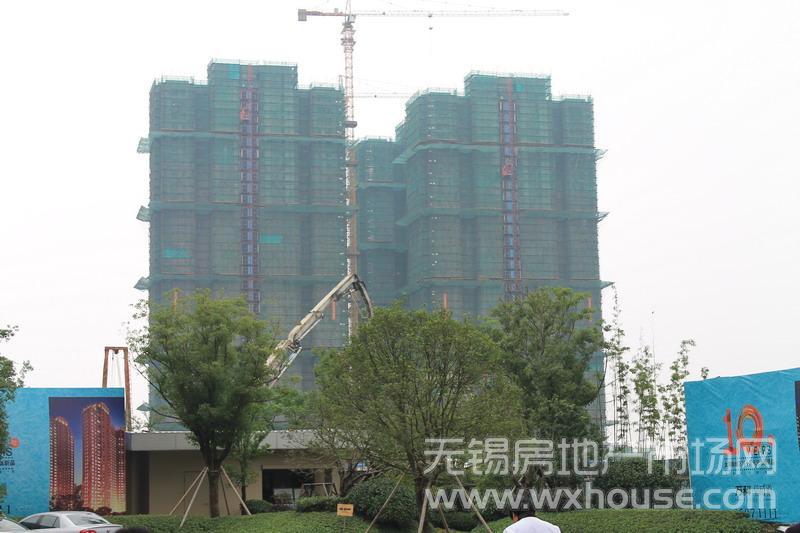 施工进度      