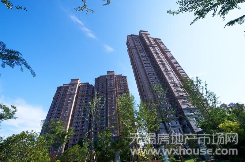 项目景观      