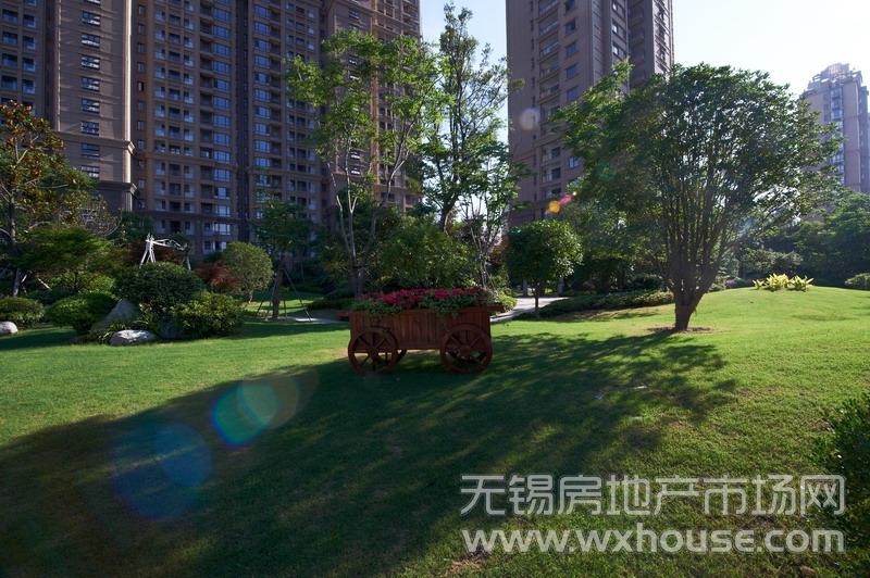 项目景观      