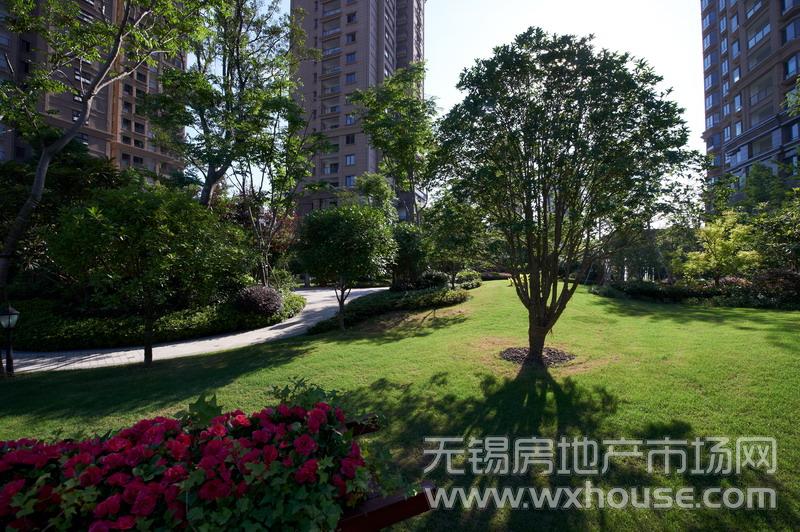 项目景观      