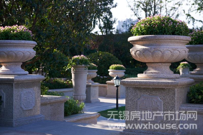 项目景观      