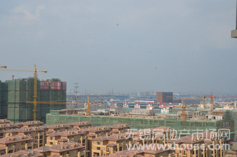现场实景      