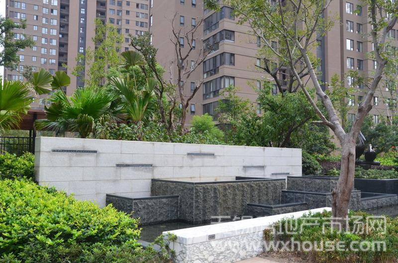 小区内实景      