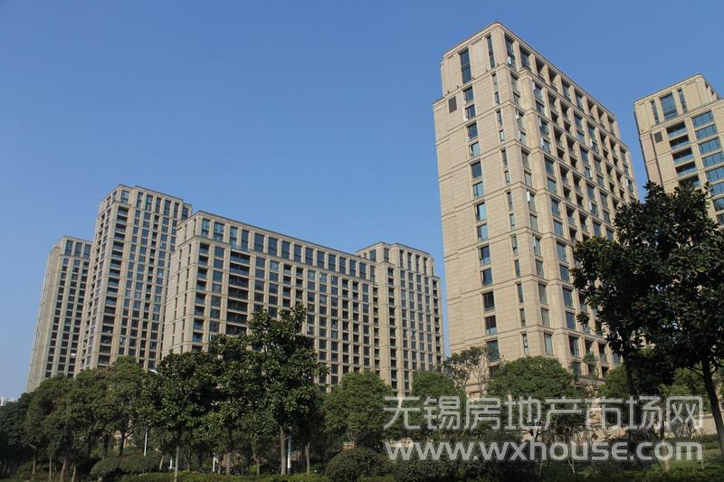 东区实景      