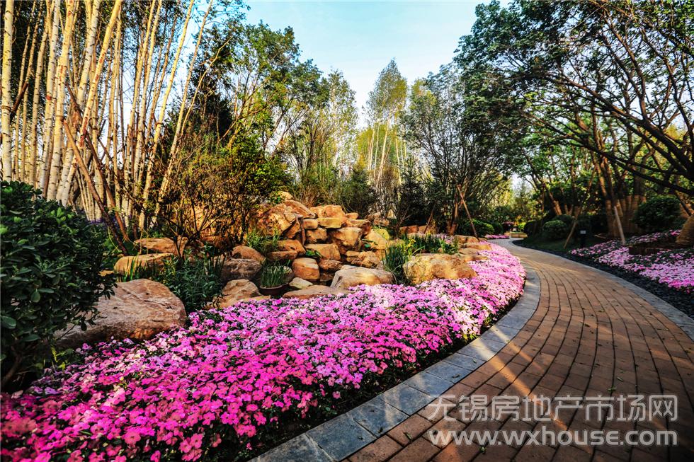 园林景观效果图