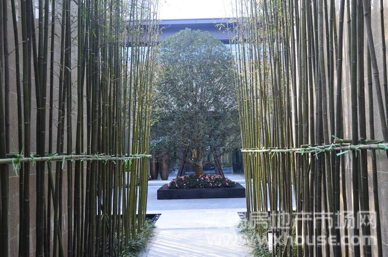 2万㎡园林内景1