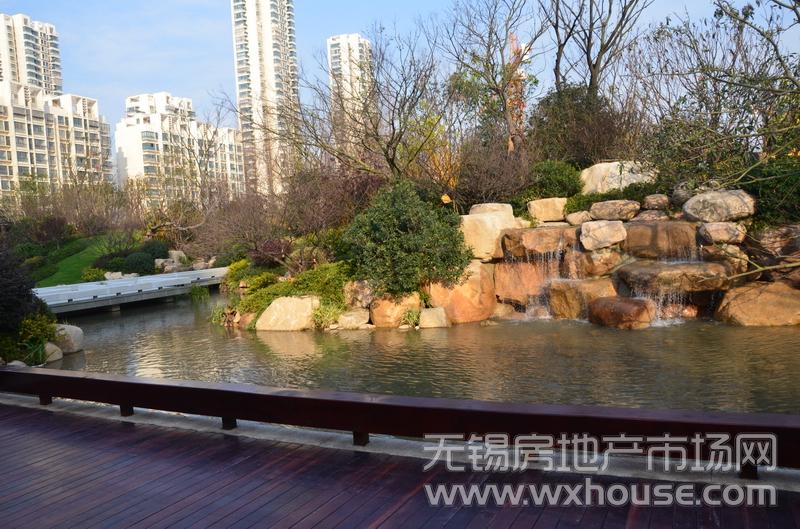 2万㎡园林内景3