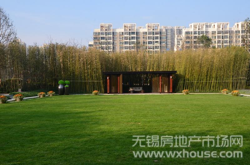 2万㎡园林内景5