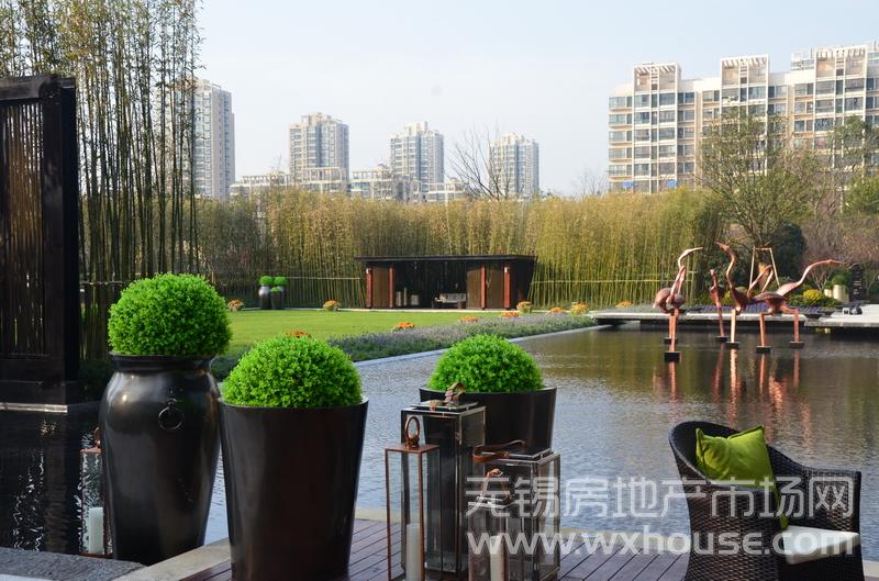 2万㎡园林内景7