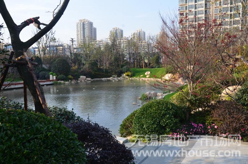 2万㎡园林内景8