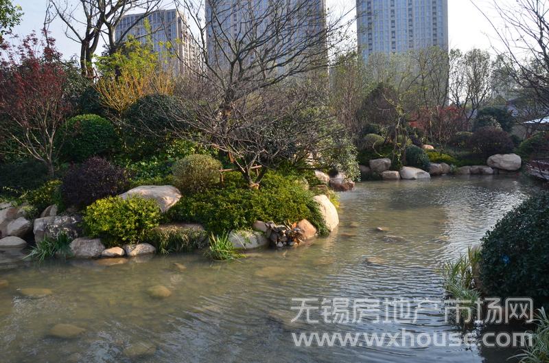 2万㎡园林内景9