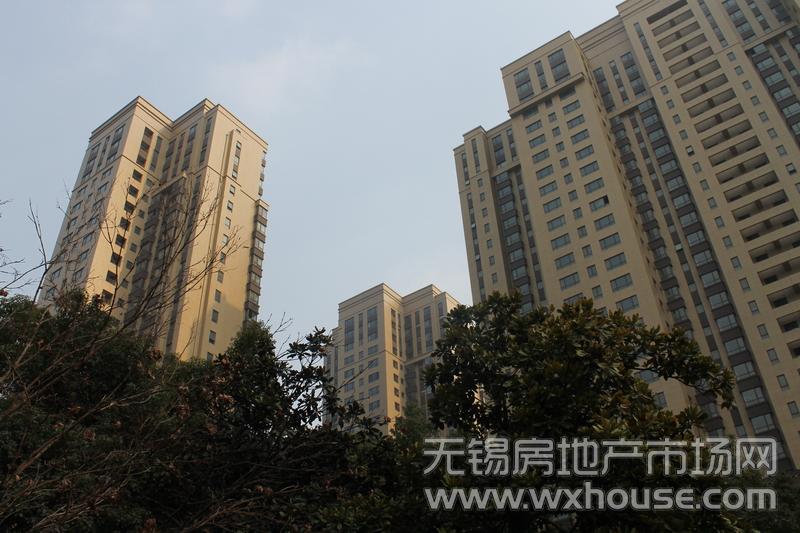 项目现房实景图      