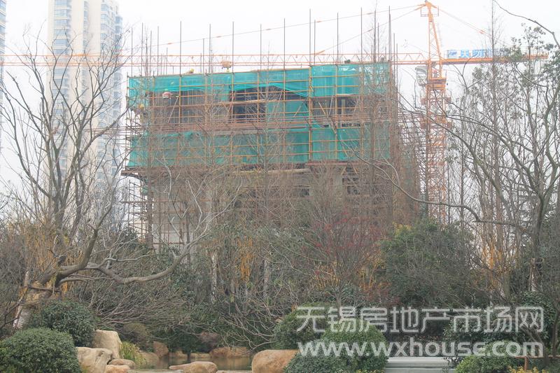 项目现场施工进度