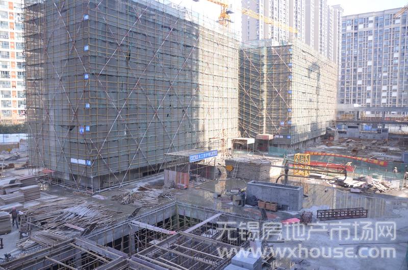 项目施工进度      