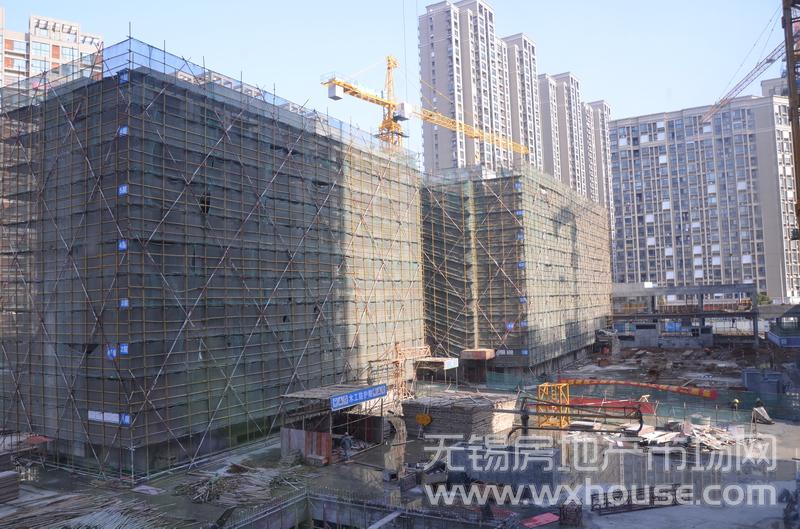 项目施工进度      