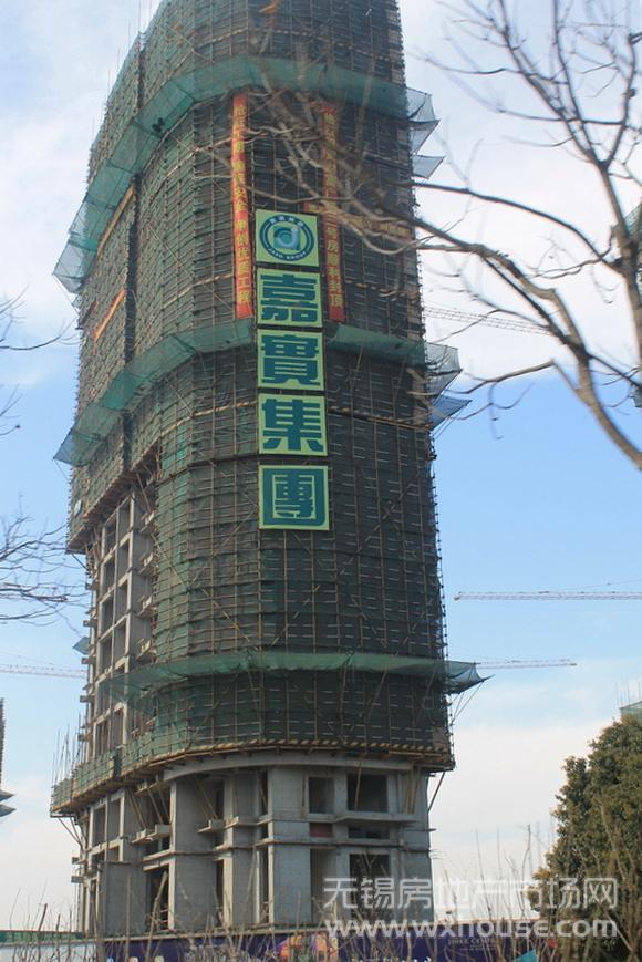 项目施工进度      