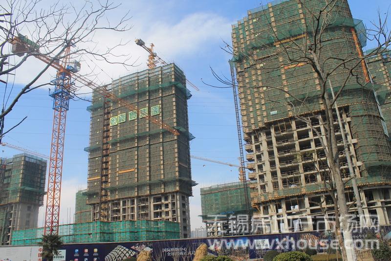 项目施工进度      