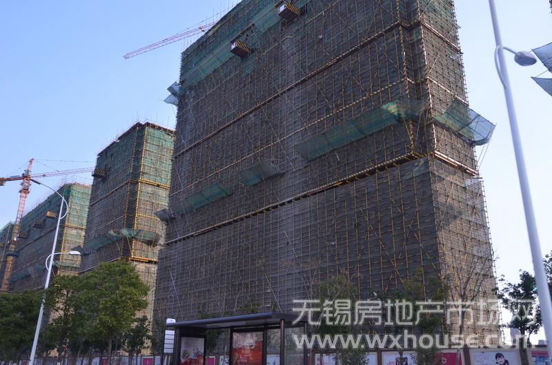 项目施工进度      