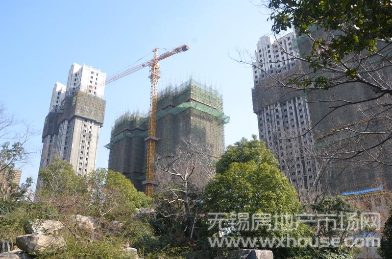 项目施工进度      