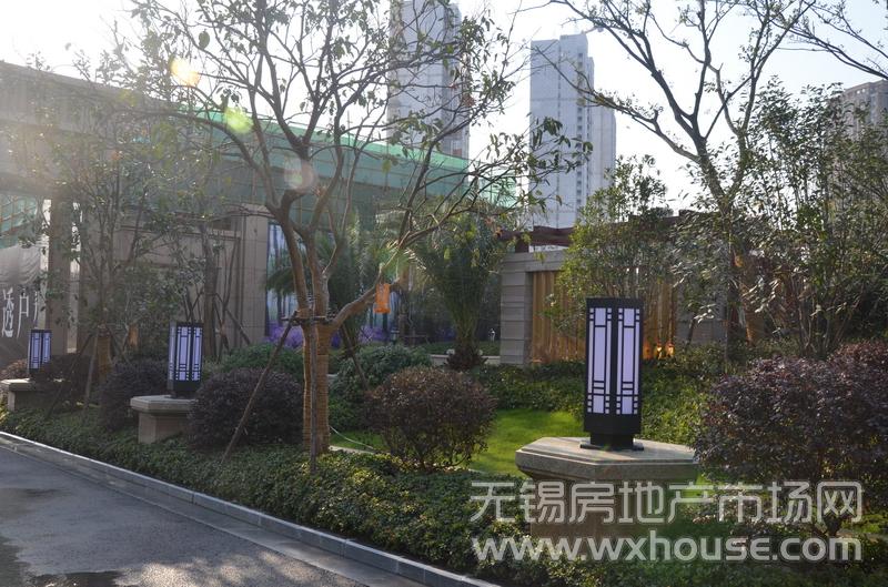 社区绿化实景      