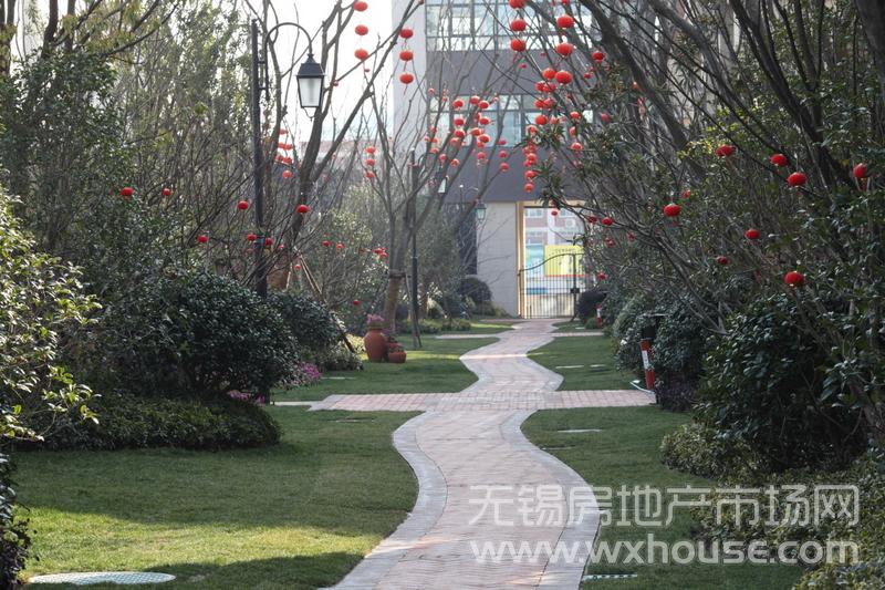 项目社区实景      