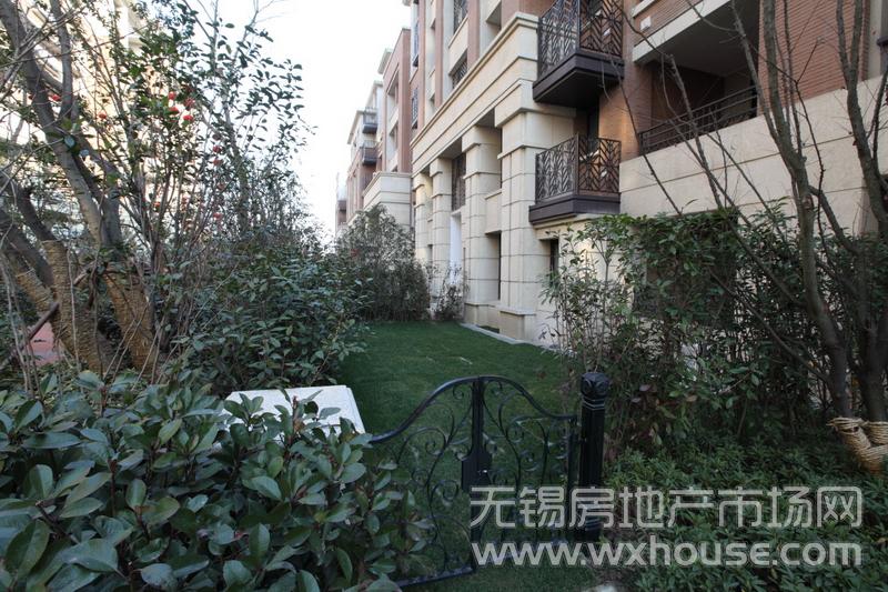 项目社区实景      