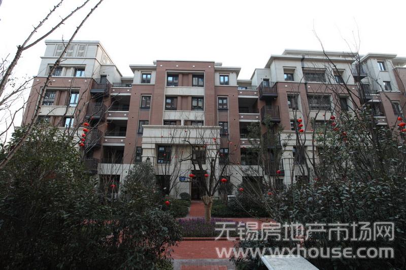 项目现房实景      