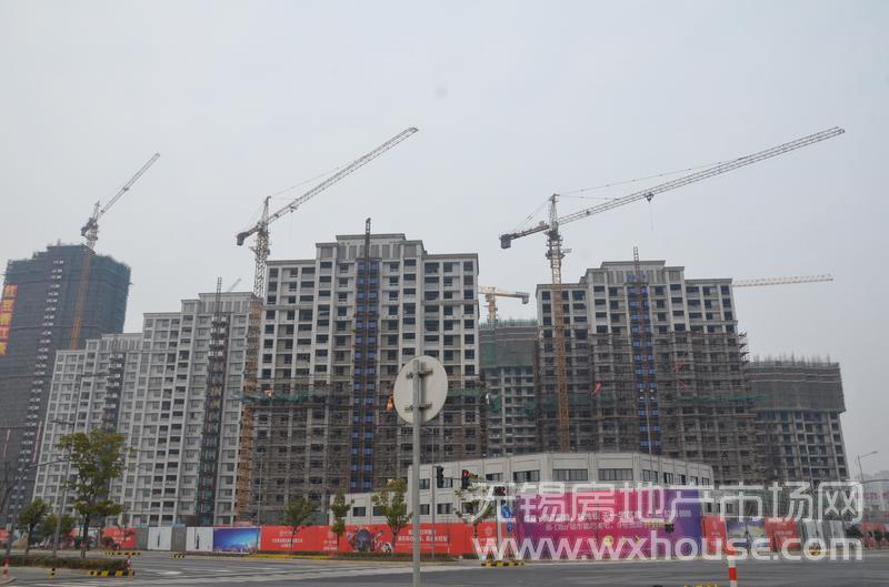 项目施工进度      