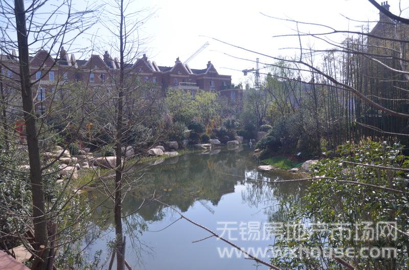 项目示范区实景      