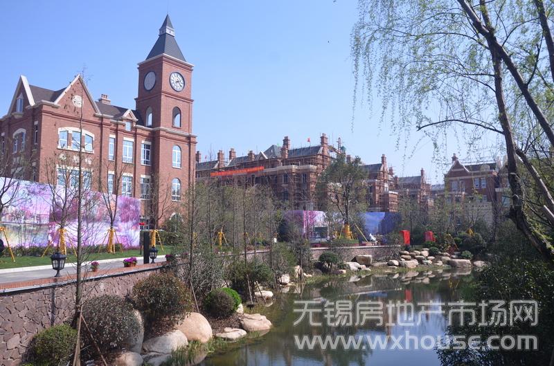 项目示范区实景      