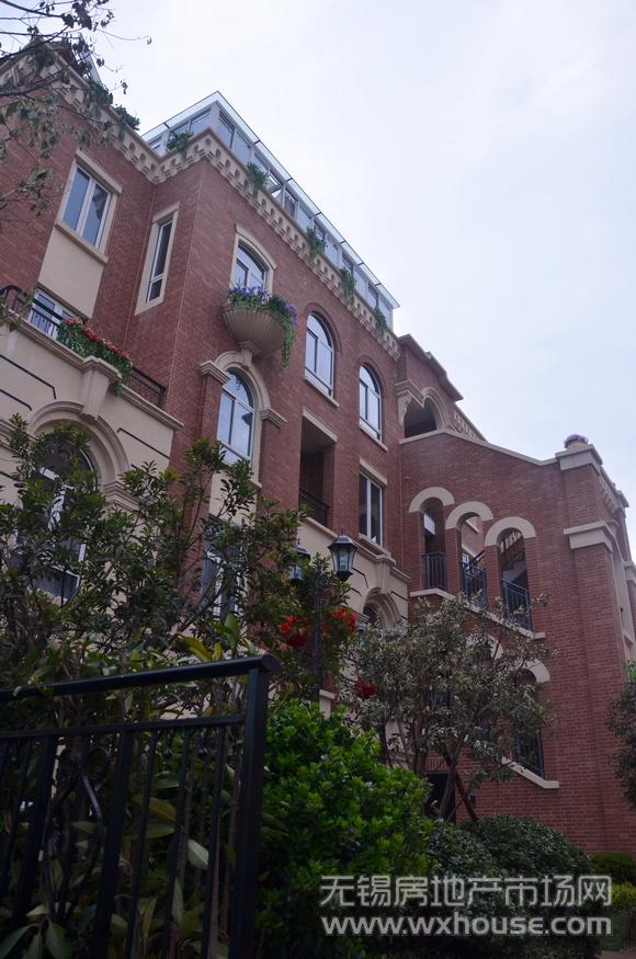 项目示范区实景      