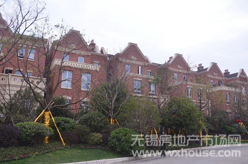 项目示范区实景      