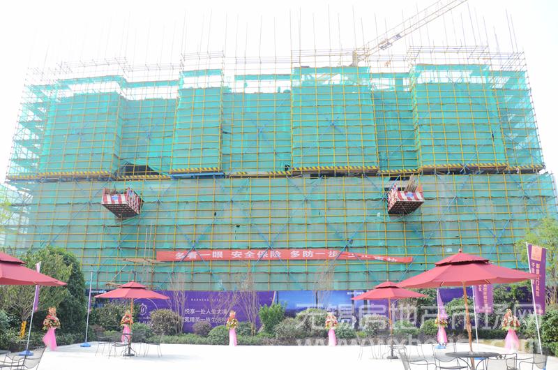 现场施工进度      