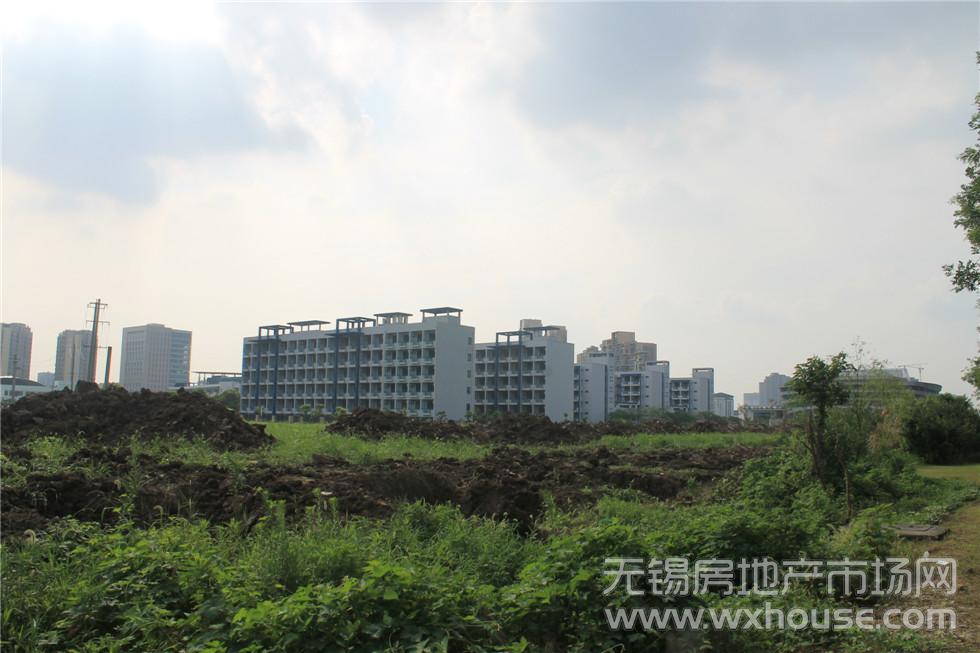 施工进度.JPG      