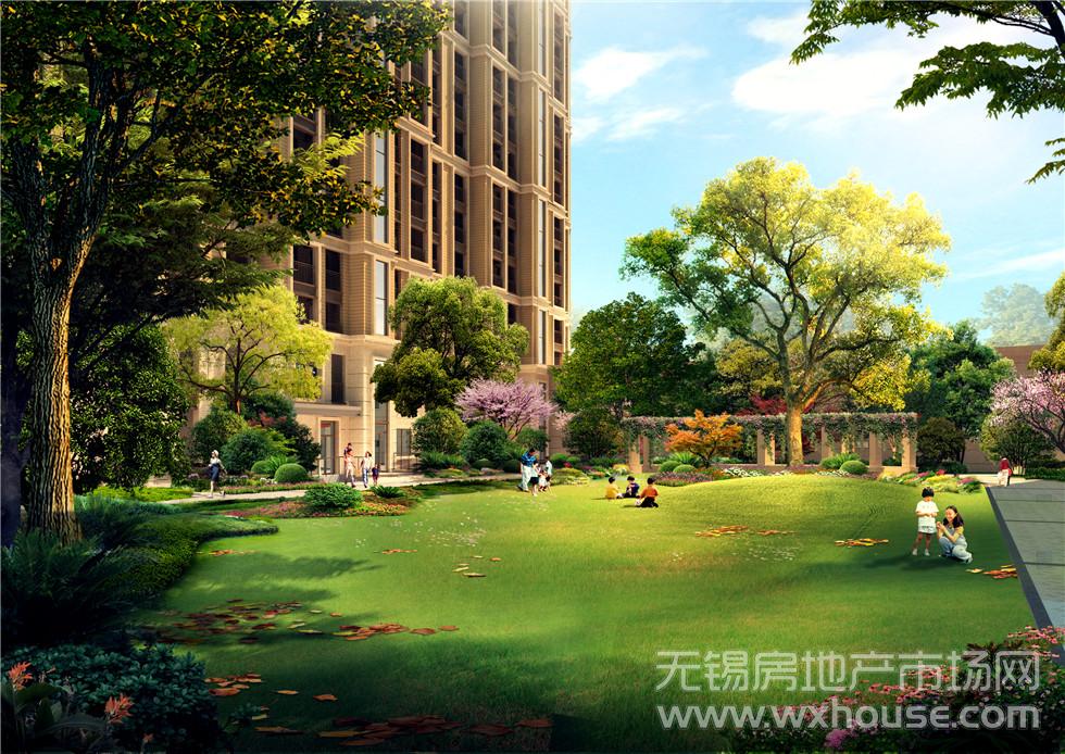 C区阳光草坪      