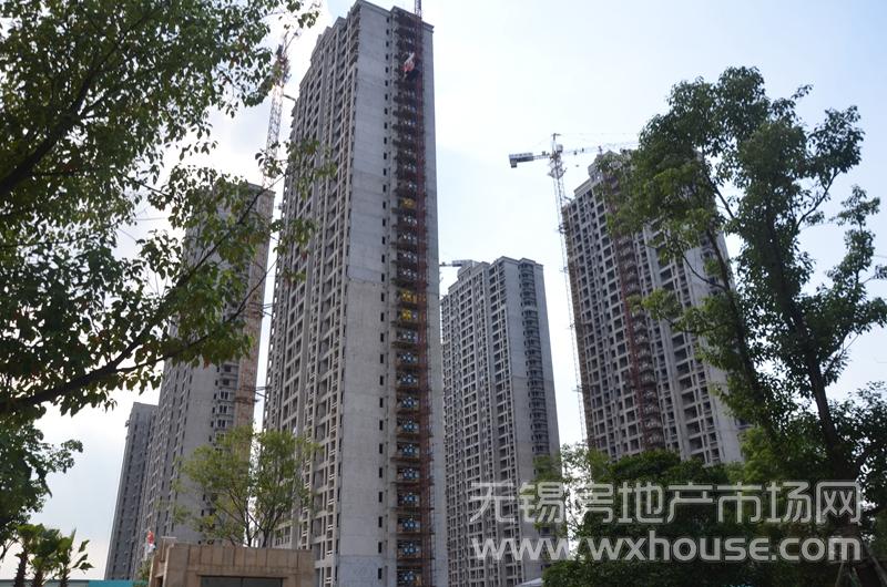 苏宁悦城二期高层实景图      