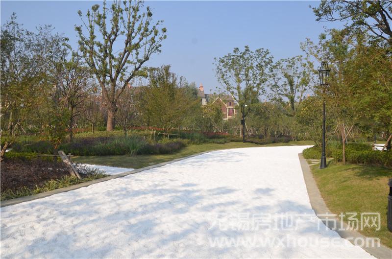 社区绿化实景      