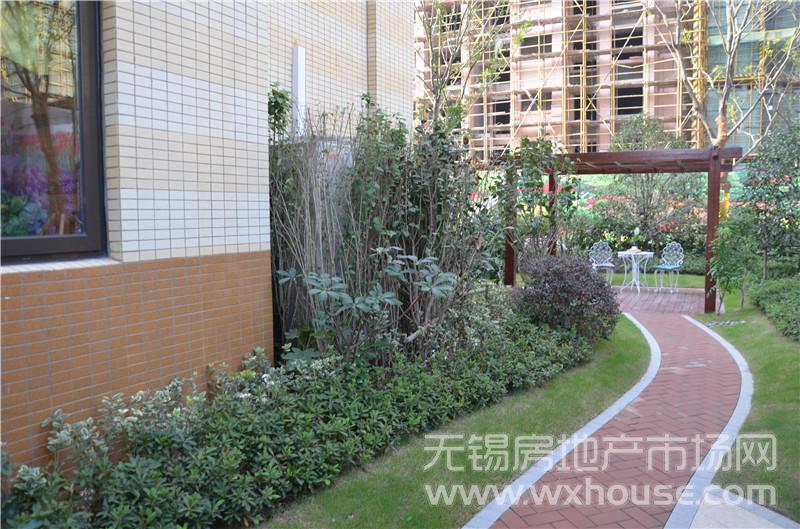 洋房247平米户型样板房一层后院2      