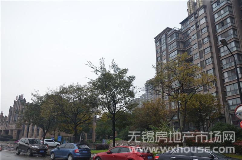 周边社区：美新玫瑰大道      