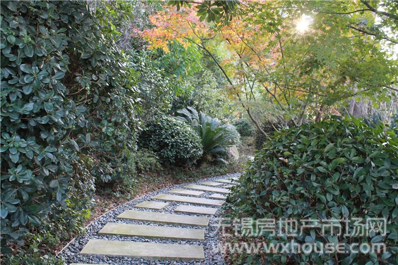社区绿化      