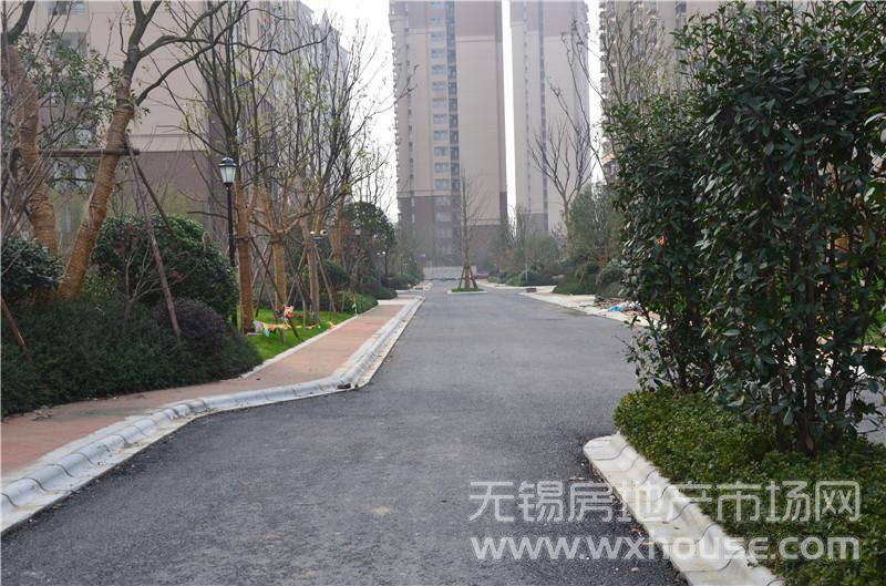 社区实景      