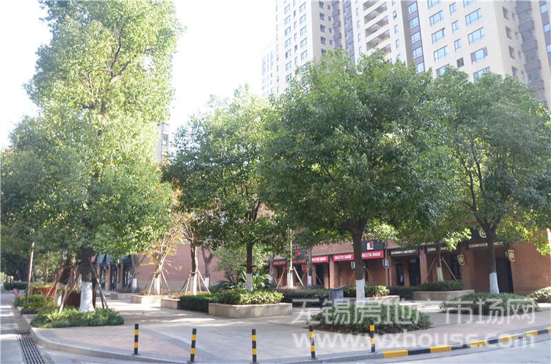 社区公共配套      