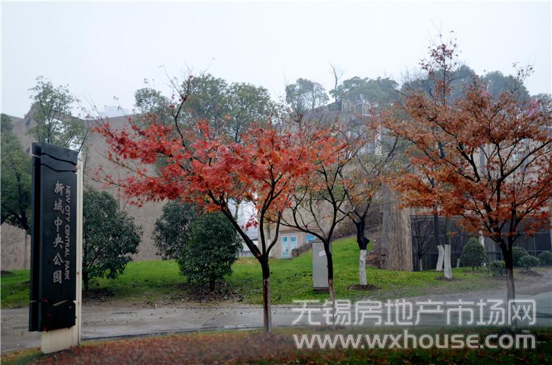 周边配套：新城中央公园      