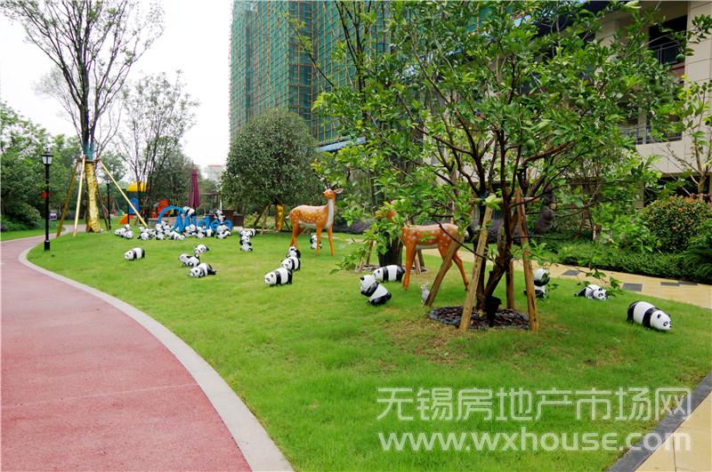 社区实景      