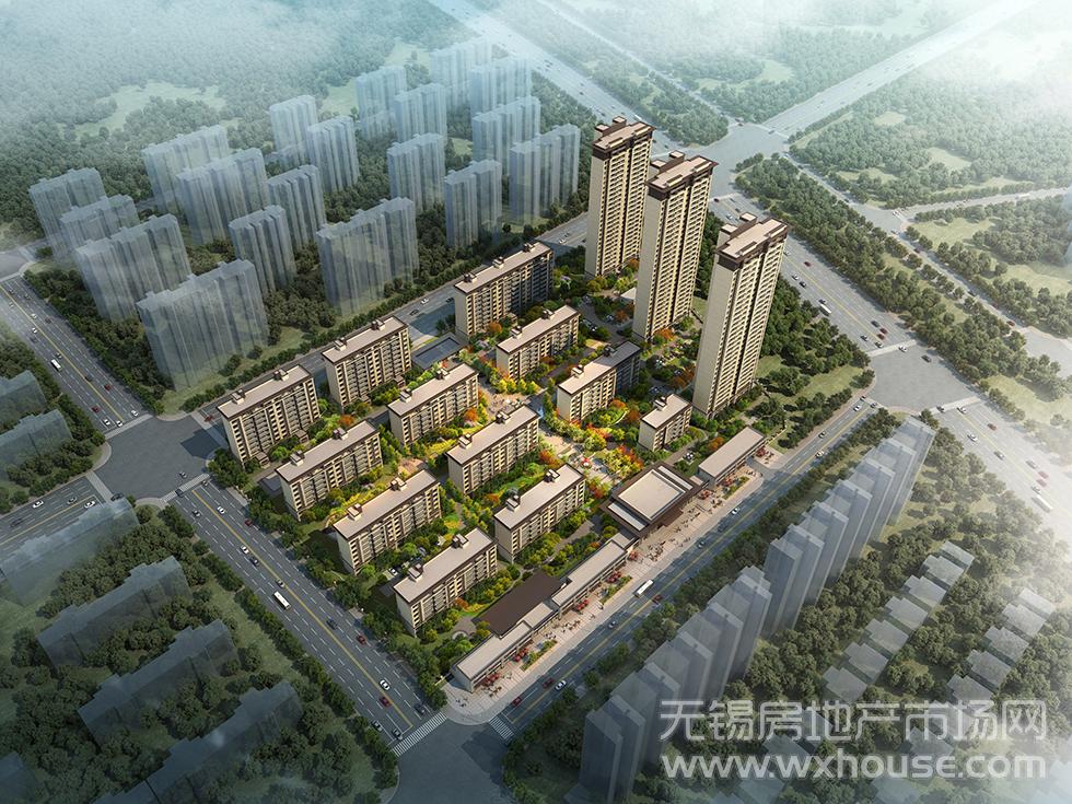 鸟瞰图      