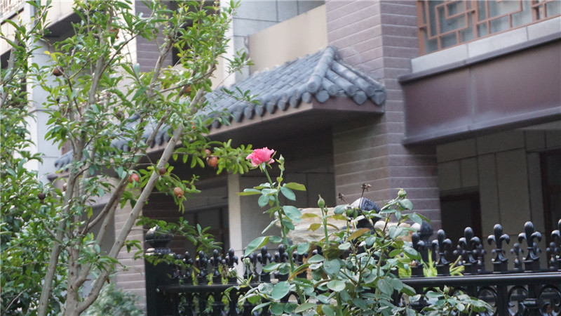 叠加实景图