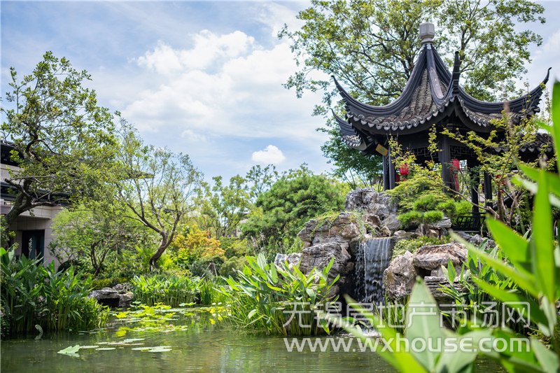 示范区实景